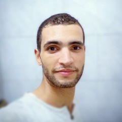 Mahmoud Abdelwares