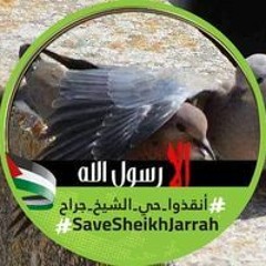حجابي حريتي