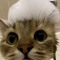 トキト👻