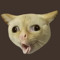 ecat