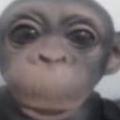pongoblin