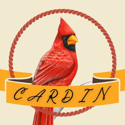 Cardin’s avatar