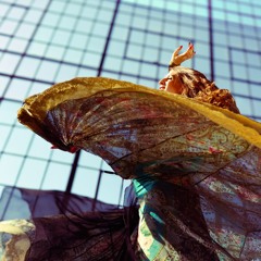 Tamar Ilana & Ventanas