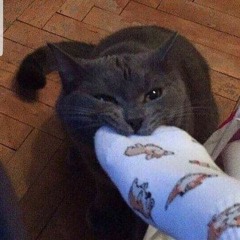 hwiilenwq