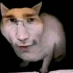 petitcorpssouffrant