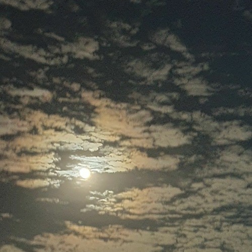 اريد اشرب بهجرك بطل شيفاز + اكتلني بعشر طلقات | حسين فاخر