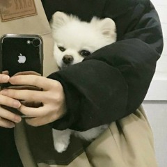 사이