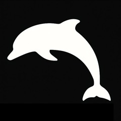 Secret Dolphin