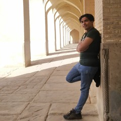 Seyed Mostafa Hosseini