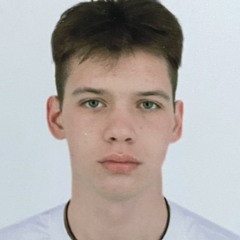 vlad6511