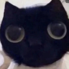 muiellii