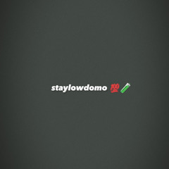 staylowdomo