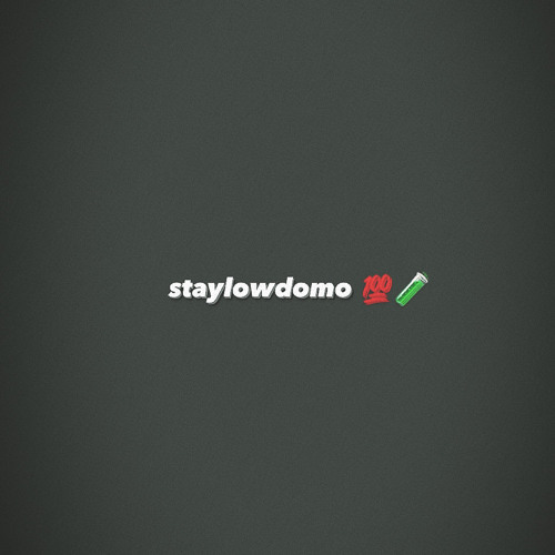 staylowdomo’s avatar