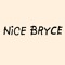nicebryce