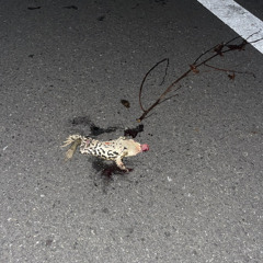 ぴろぴろ