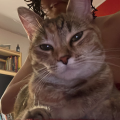 Smundle