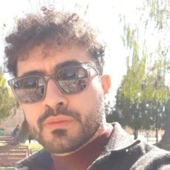 mousavi