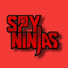 Spy Ninjas