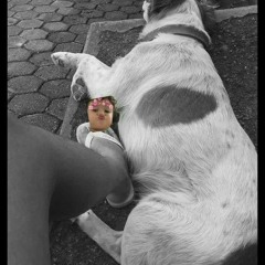 Dj Ryan do Trem bala