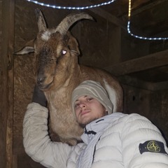 Kostia