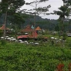 Komeng Udin
