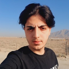 علیرضا وزینی