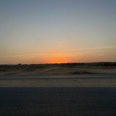 ShadwaAhmed