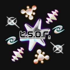 T.S.O.R. 2