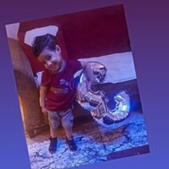 Noor Mahmoud