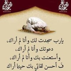 محمود عبد العزيز
