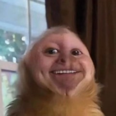 sploogmaster666108