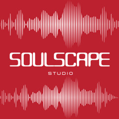 SoulScape Studio