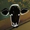 Copycow