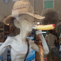 Cailloutière Du Matin