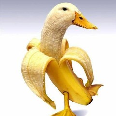 duck banana