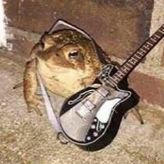melancholic frog