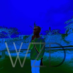 WZD