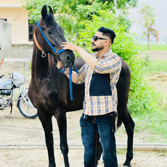 puneetsaroye