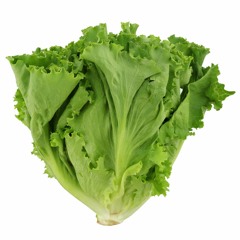 apohstrophy