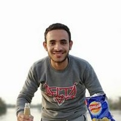 Ahmed Naser Elmaleh