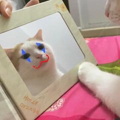 pmaii