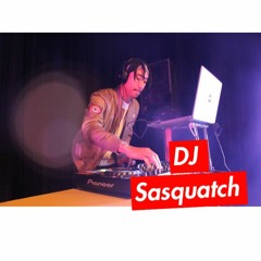 DJ Sasquatch2