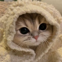vivi <3
