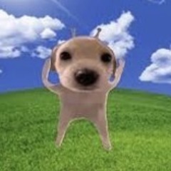 lejiggler