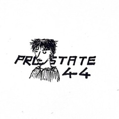 pr0state44