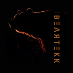 BEARTEKK