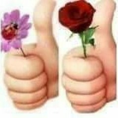 فرقة الأصدقاء