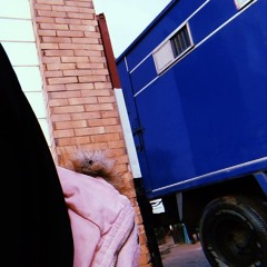 سارّة