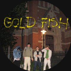GOLD FISH