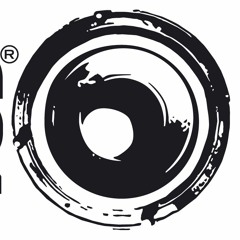 Vibrarecords.official